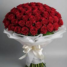 Букет 101 Красная роза Блэк Мэджик в Летуново