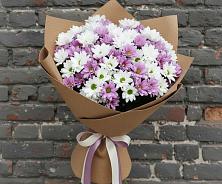 Букет цветов из:  Хризантемы #REPLACE_PRED# Летуново