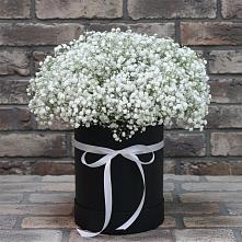 Цветочная композиция из Гипсофила в шляпной коробке в Летуново