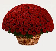 Премиум букет из: Розы #REPLACE_PRED# Летуново